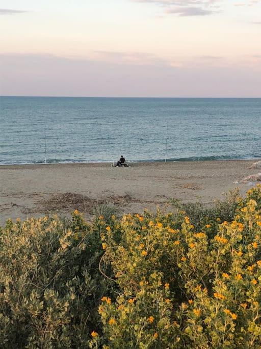 Logement Plage Saint-Cyprien Kültér fotó