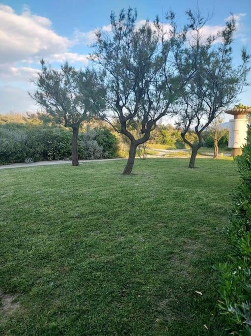 Logement Plage Saint-Cyprien Kültér fotó