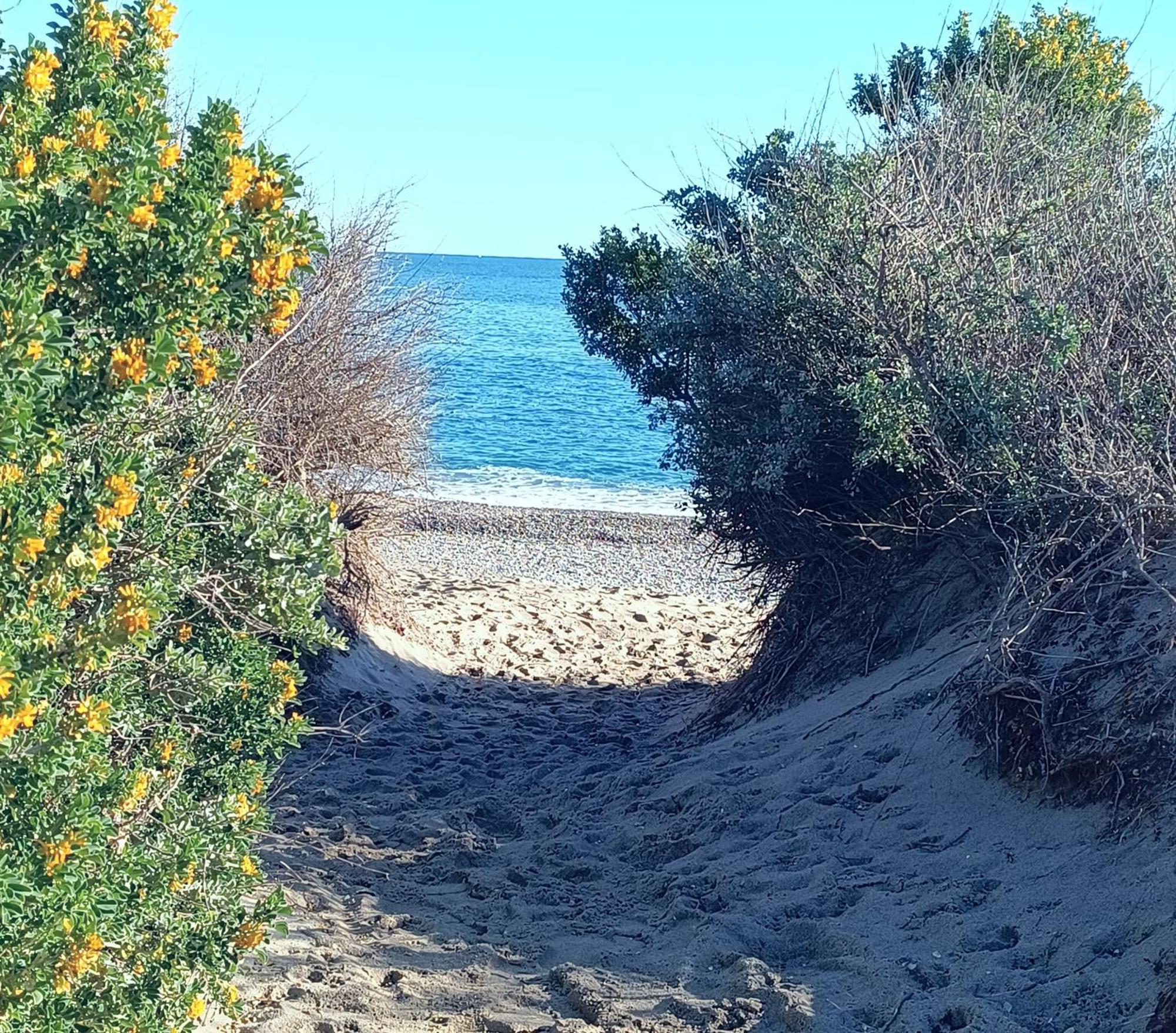 Logement Plage Saint-Cyprien Kültér fotó